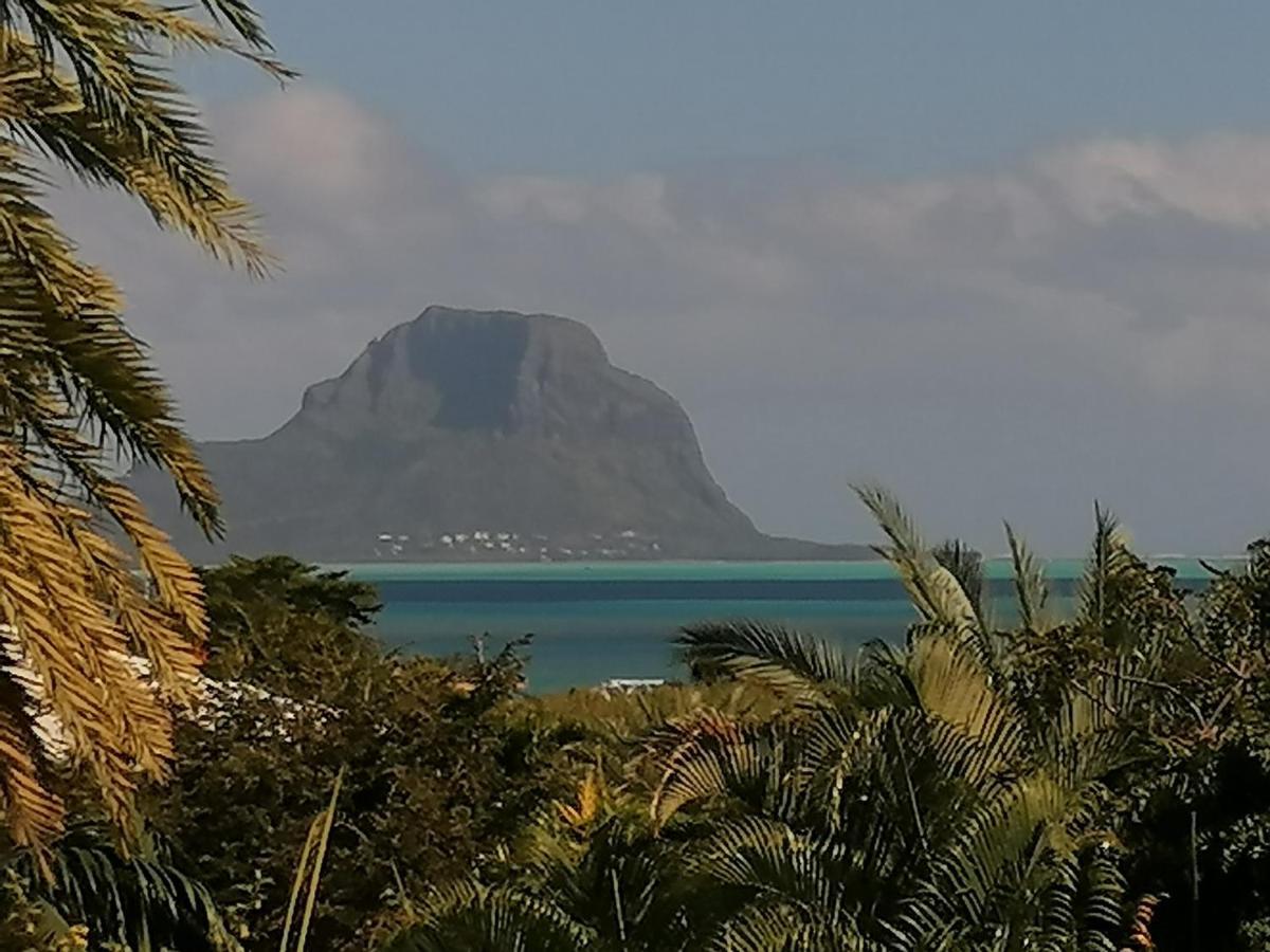 Rivière Noire Terre Et Mer - Studios - Ile Maurice מראה חיצוני תמונה